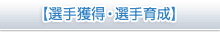 IlI琬