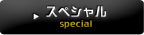 スペシャル